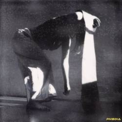 Perila - Intrinsic Rhytmn (2024)