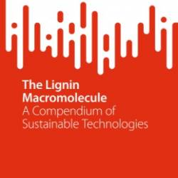 The Lignin Macromolecule: A Compendium of Sustainable Technologies - Silvio Vaz Jr.