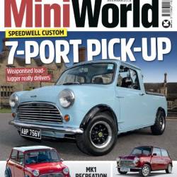 MiniWorld - January 2025