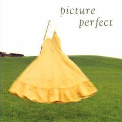 Picture Perfect - Jodi Picoult