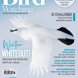 Bird Watching UK - January 2025