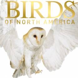 American Museum of Natural History: Pocket Birds of North America, Eastern Region: The Ultimate Photographic Guide - Thomas Brodie Johnson