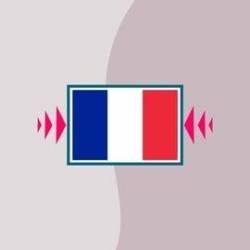 French Grammar - Quick Guide - Verbs 3