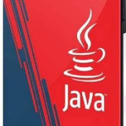 [IBS] Java Advanced I: ,     (2024) 