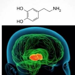 [MikeD]           ()