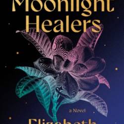 The Moonlight Healers - Elizabeth Becker