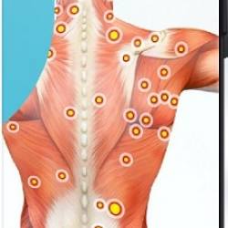 ������ �������� - ����������� ������� ��������������� �������� �������� (2023) ���������