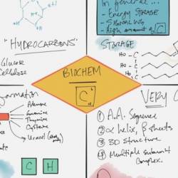 Biochemistry Crash Course - Biochem Made Simple