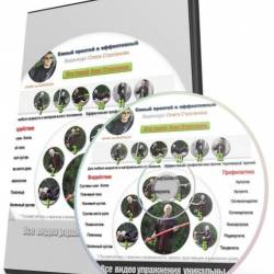        () - 12    ,     , , , , ,    !