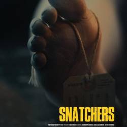 Snatchers (2025) 1080p WEB-DL AAC x264-signtech24