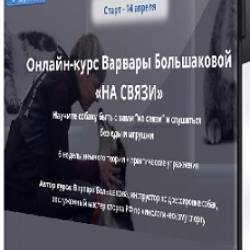 [DogWinner] �� ����� (2025) ���������