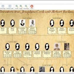 Ahnenblatt 4.39 (x64) Multilingual