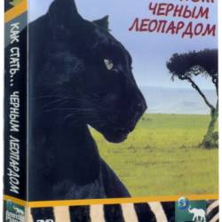 ...   / Growing Up: Black Leopard (2008) DVDRip