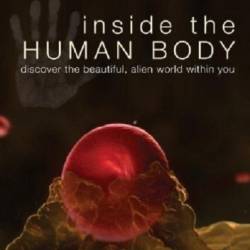    ( 4   4 ) / Inside the Human Body 2011