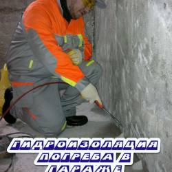 Экопитание и очищение организма (2013)