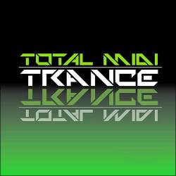 Total Visual Recollection Trance (2014)