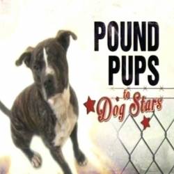    / Pound Pups to Dog Stars (1-10   10) (2013-2014) TVRip