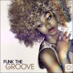 Funk The Groove (2014)