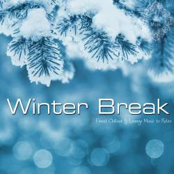 Winter Break (Finest Chillout & Lounge Music to Relax) (2014)