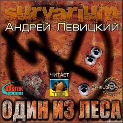   -    (Survarium) M4B