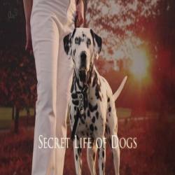    / Secret Life of Dogs (2013) HDTVRip 720p
