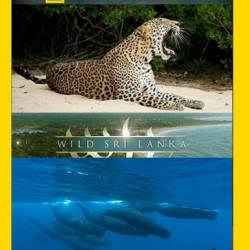    / Wild Sri Lanka (2014) HDTVRip - 1