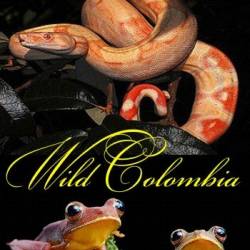   / Wild Colombia (2014) HDTV 720p -  2