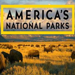   . / America's National Parks. Saguaro (2015) HDTVRip