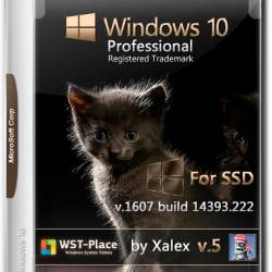 Windows 10 Pro x64 1607.14393.222 For SSD v.5 Xalex (RUS/2016)