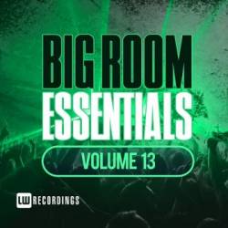 VA - Big Room Essentials Vol.13 (2018) MP3