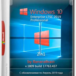 Windows 10 Pro/LTSC 2in1 x64 v.1809.17763.437 by BananaBrain (RUS/2019)