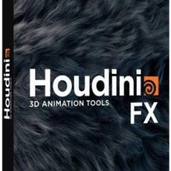 SideFX Houdini FX 17.5.391