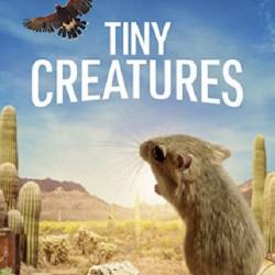   / Tiny Creatures (2020) WEBRip 720p