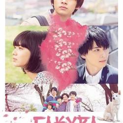  / Sakura (2020) BDRip