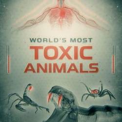     / World's Most Toxic Animals (2021) HDTVRip 720p