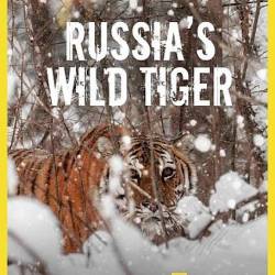    / Russia's Wild Tiger (2022) HDTV 1080i - , , , 