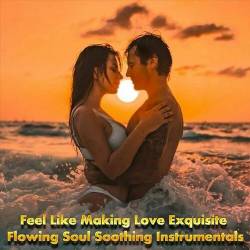 Feel Like Making Love Exquisite Flowing Soul Soothing Instrumentals (2022) - Jazz