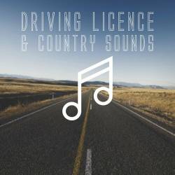 Driving Licence and Country Sounds (2022) FLAC - Blues, Country, Folk