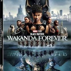 ׸ :   / Black Panther: Wakanda Forever (2022) HDRip / BDRip 1080p / 4K /   +  