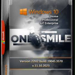 Windows 10 x64 Rus by OneSmiLe (19045.3570)