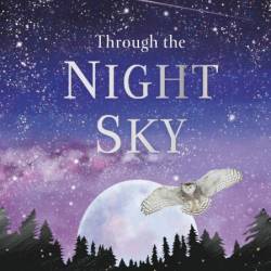 Through the Night Sky: A collection of amazing adventures under the stars - DK