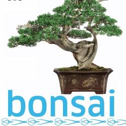 Bonsai. Techniques  styles  display ideas (2014)