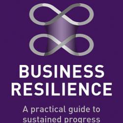 Business Resilience: A Practical Guide to Sustained Progress Delivered at Pace - David Roberts