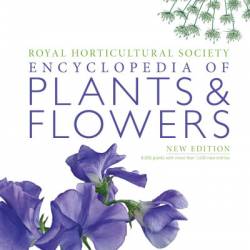 Trees, Leaves, Flowers and Seeds: A Visual Encyclopedia of the Plant Kingdom - DK