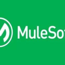Mulesoft Integration Architect