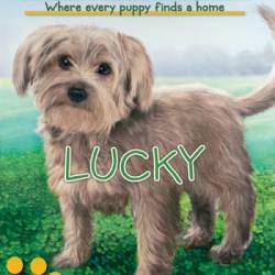 Lucky - Ellen Miles