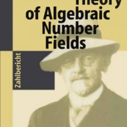 The Theory of Algebraic Number Fields / Edition 1 - David Hilbert