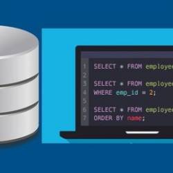 The Comprehensive Sql Bootcamp - Go From Novice To Expert