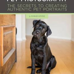 Pet Photography: The Secrets to Creating Authentic Pet Portraits - Norah Levine