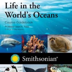 My Best Friend, the Atlantic Ocean, and Other Great Bodies Standing Between Me and My Life with Giulio - Dr. Sean K. Todd